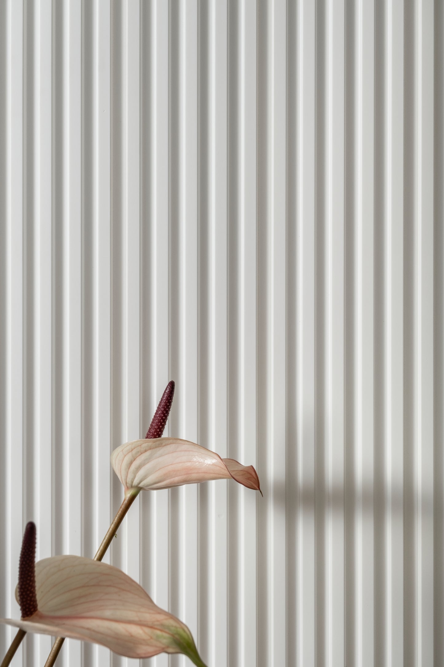 3D-veggpanele L0101T